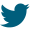 Twitter Icon