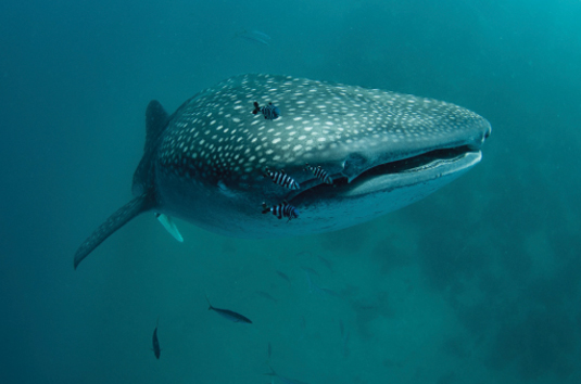 04. ดื่มด่ำกับการพักผ่อน Listing Image