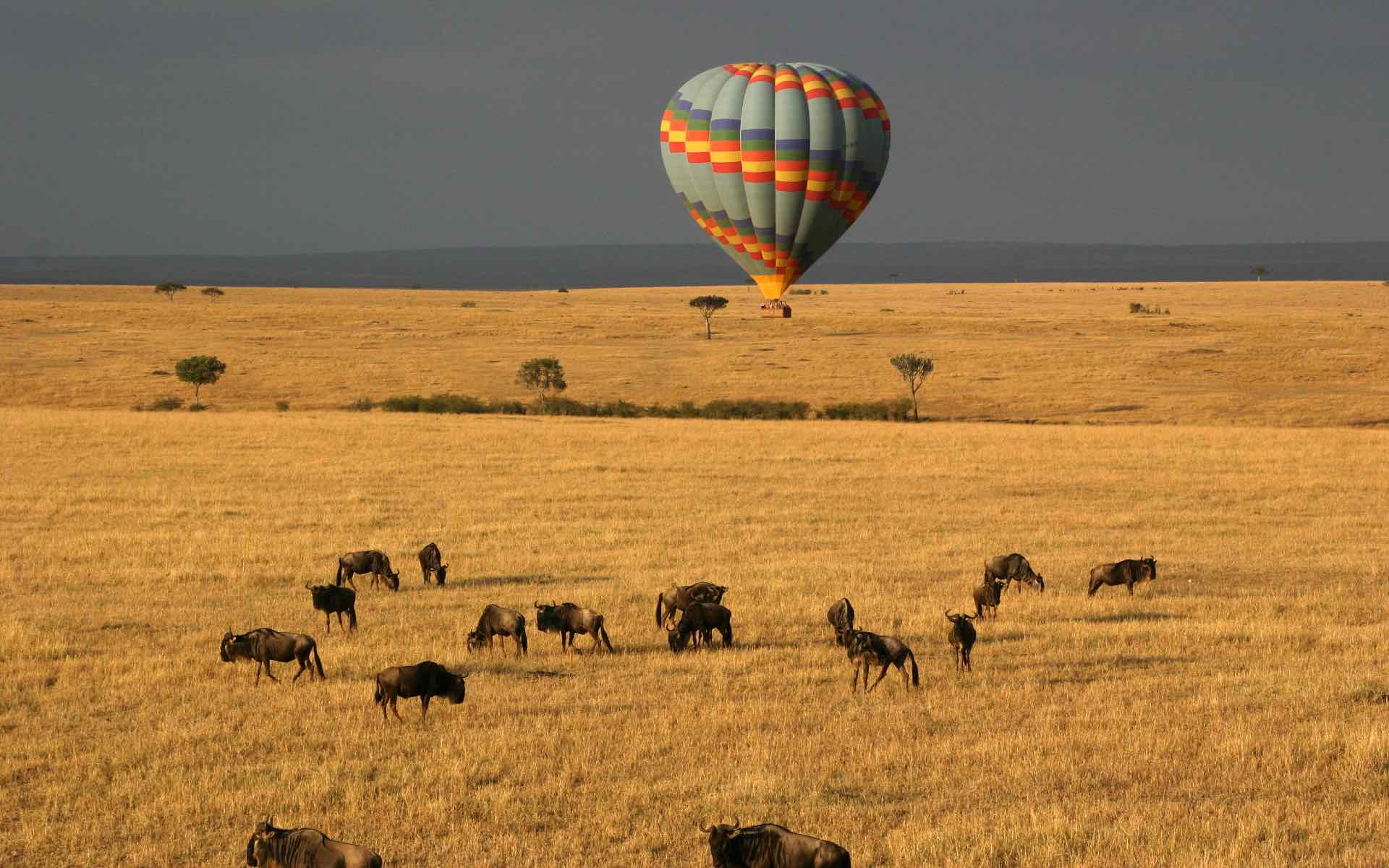 Hot air balloon over Masai Mara, Kenya