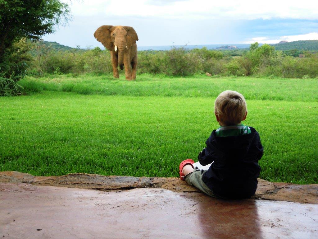 คลังรูปภาพ 