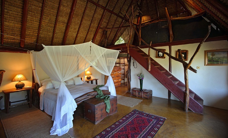 คลังภาพ 