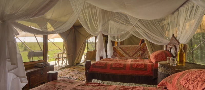 Tented room in Saruni Wild