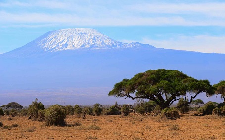 View of Mount Kilimanjaro, Tanzania