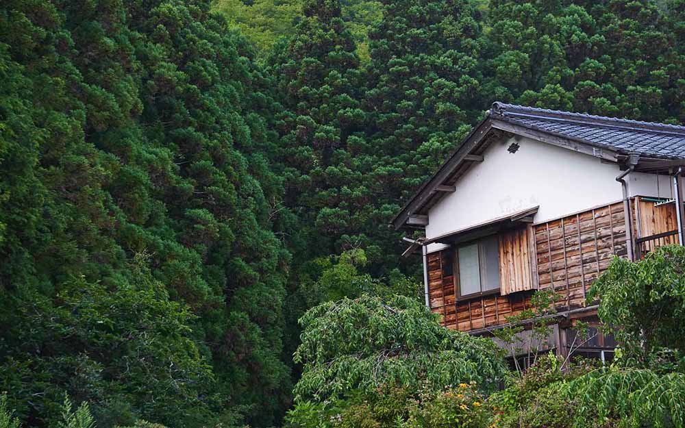 Visiting Japan in March