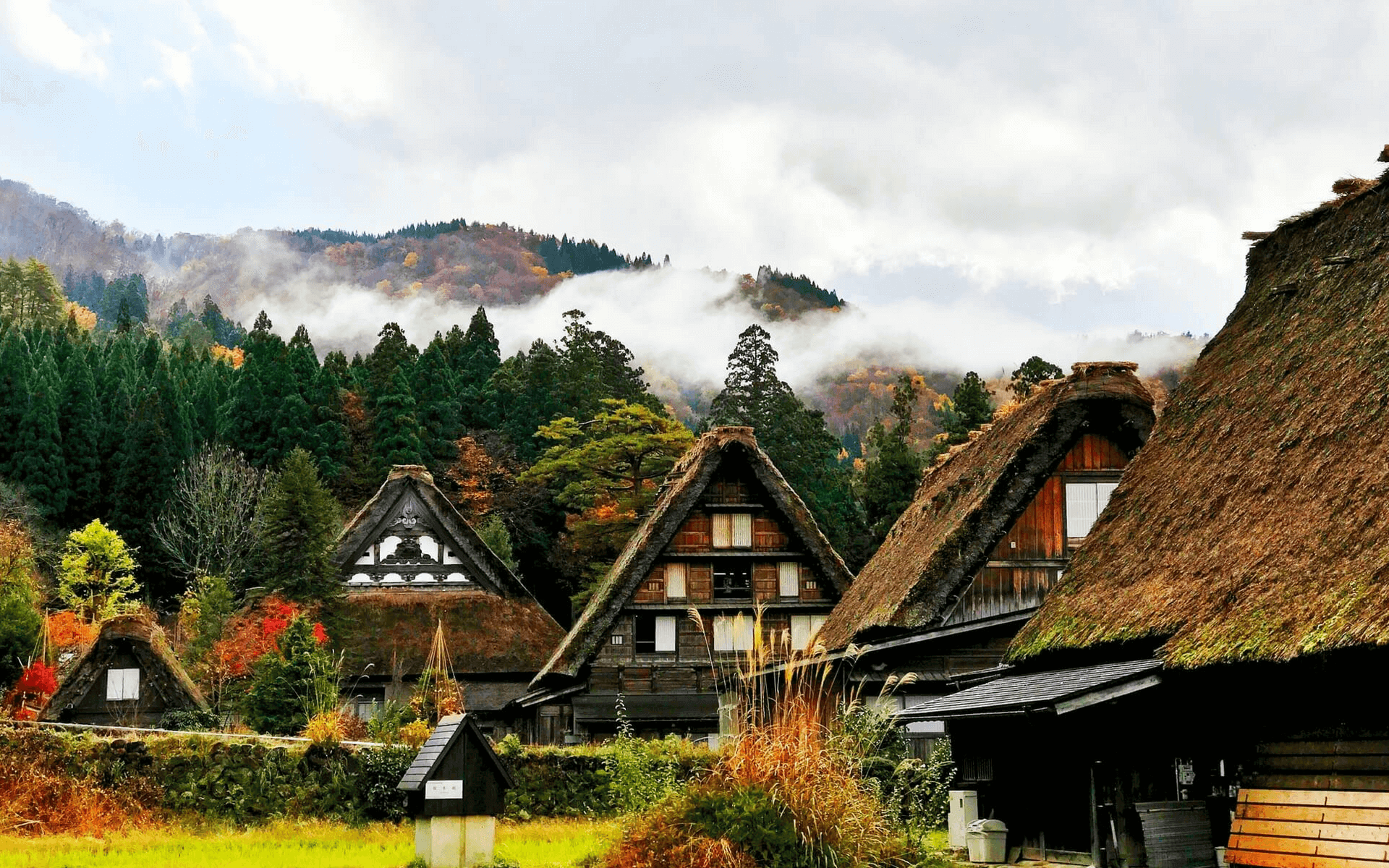 Off the Beaten Path in Japan Listing Image