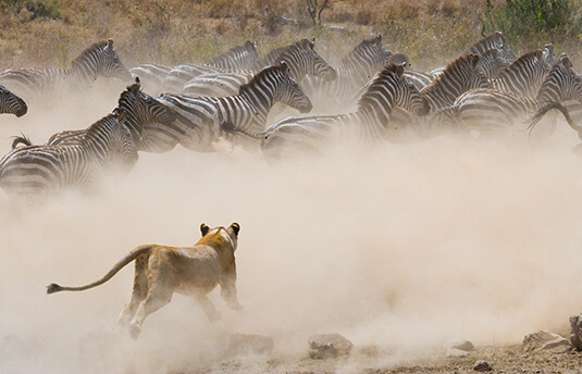 สภาพภูมิอากาศของเคนย่าในเดือนมิถุนายน Listing Image