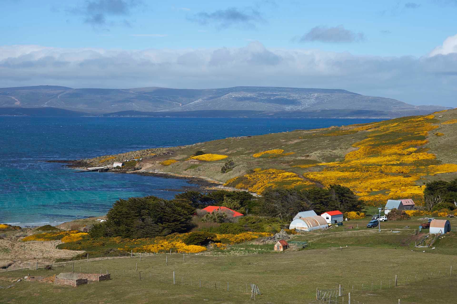 Falkland Islands Listing Image