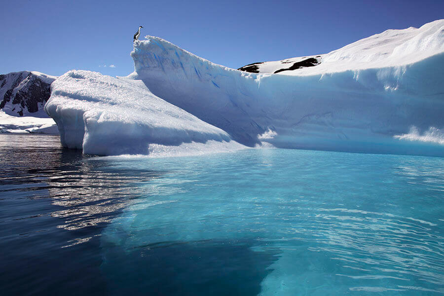 Antarctic Peninsula icebergs in Paradise Bay