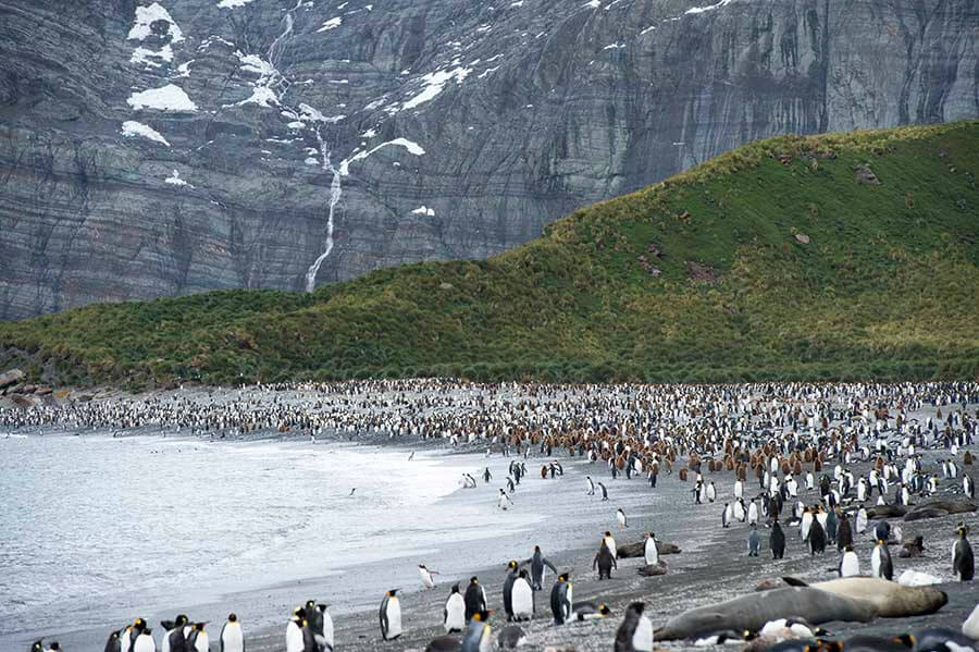 Day 2 – Charter Flight to King George Island Listing Image