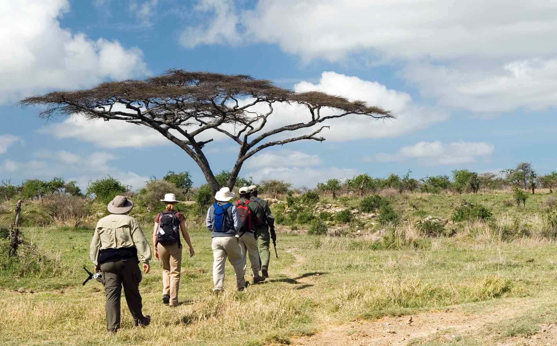 Safari guide leading group in a walking safari in Tanzania