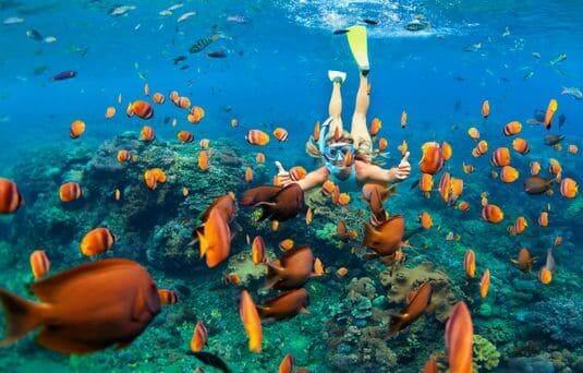 woman snorkelling underwater with a shoal of fish in the maldives