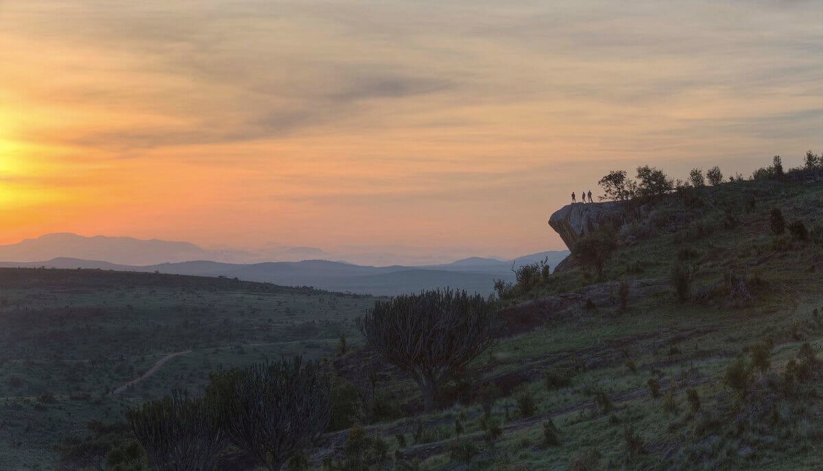 Sunset view of Pride Rock 