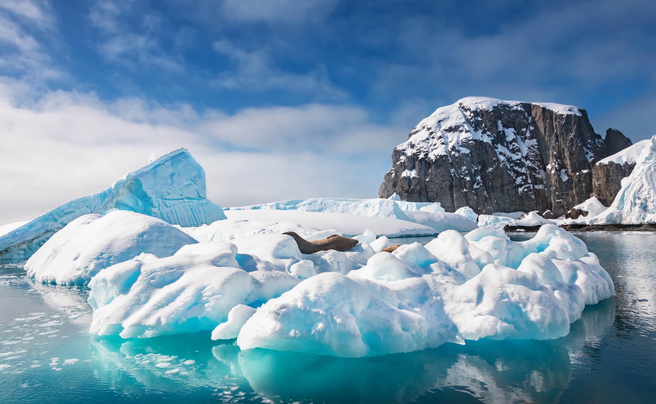 วันที่ 11 : เดินทางกลับถึงเมืองอุซซัวย่า Listing Image